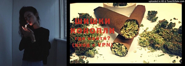 шишки Лихославль